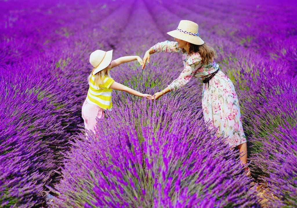 ππ§ββοΈ Relax with Lavender Tea π§ββοΈπ