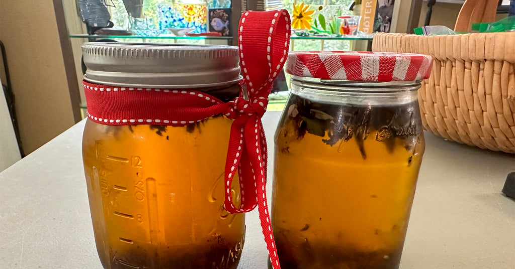 🍃🔎 Cold Brew Tea Experiment 🍃🪄
