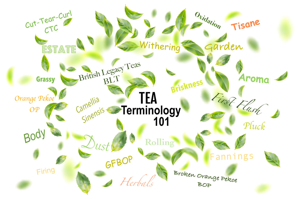 π Tea Terminology 101 π«
