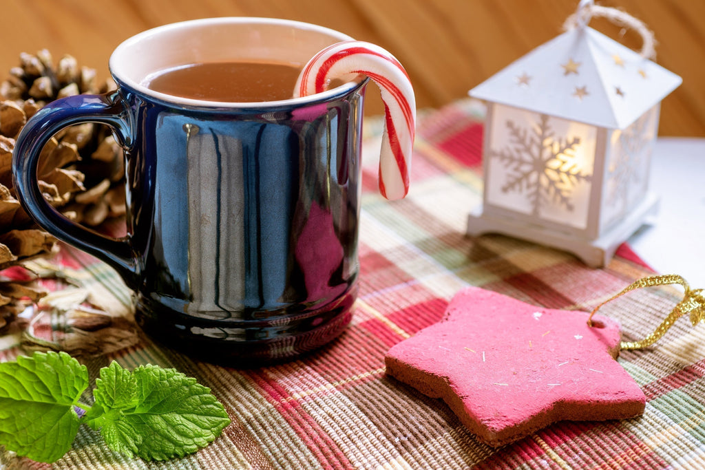 🎄🌟 Discover the Freshness! Your Peppermint Escape