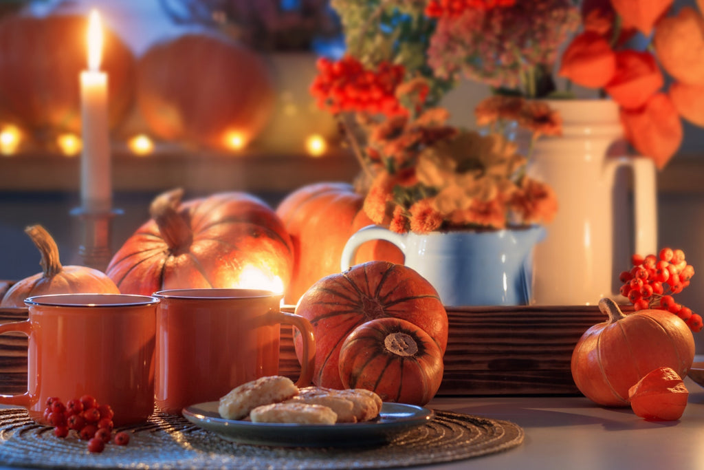 🎃 It's Pumpkin Time! 🍂