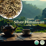 Organic Silver Himalayan White Tea