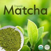 Organic Matcha