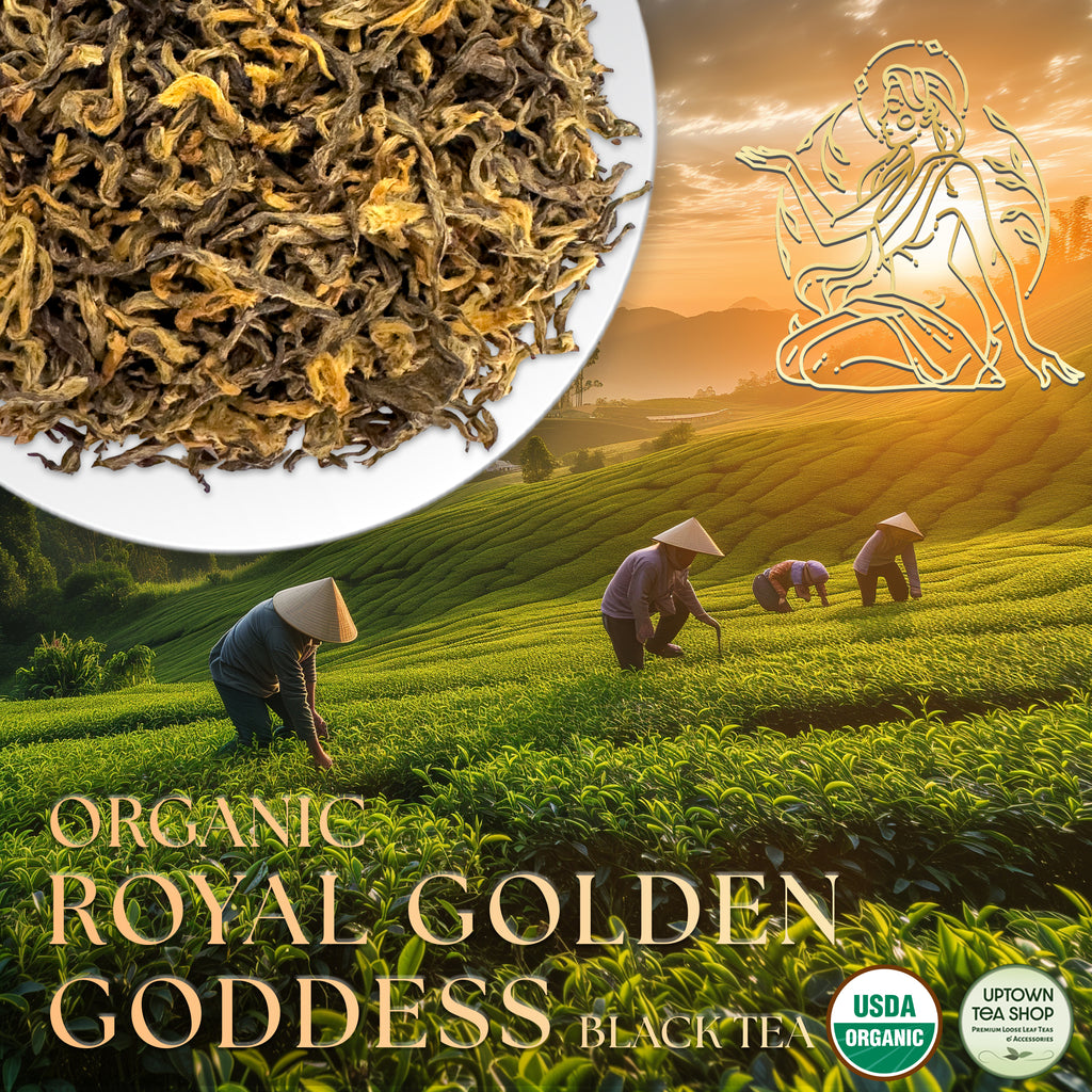Organic Royal Golden Goddess | Black Tea – Uptown Tea Shop LLC